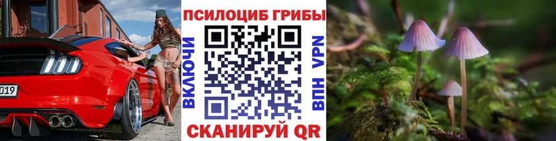 Купить где  Кимры  Галлюциногенные грибы Cubensis 